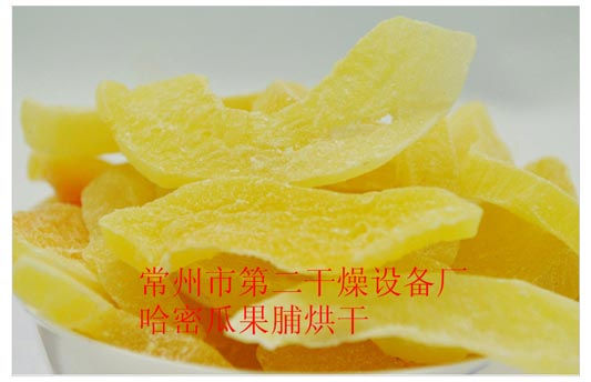 DWD 带式脱水蔬菜爱博体育app注册 DWD 带式脱水蔬菜爱博体育app注册