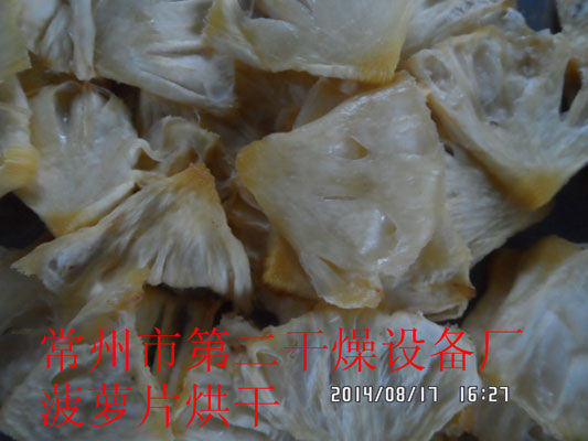 DWD 带式脱水蔬菜爱博体育app注册 DWD 带式脱水蔬菜爱博体育app注册