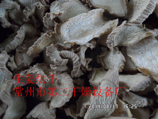 DWD 带式脱水蔬菜爱博体育app注册 DWD 带式脱水蔬菜爱博体育app注册