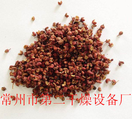 DWD 带式脱水蔬菜爱博体育app注册 DWD 带式脱水蔬菜爱博体育app注册