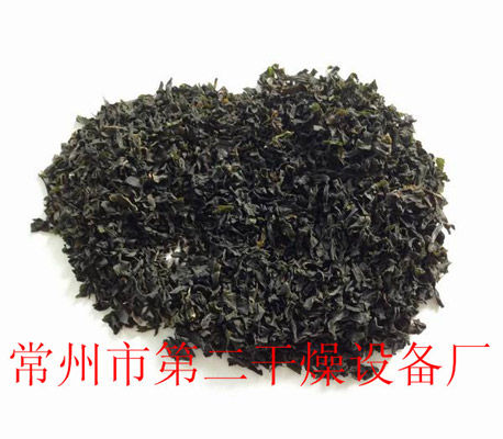 DWD 带式脱水蔬菜爱博体育app注册 DWD 带式脱水蔬菜爱博体育app注册