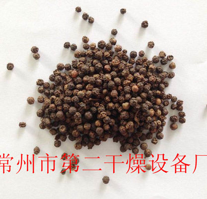 DWD 带式脱水蔬菜爱博体育app注册 DWD 带式脱水蔬菜爱博体育app注册