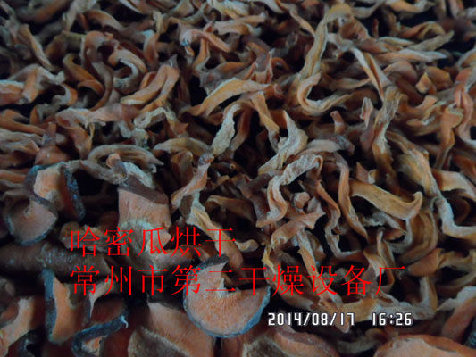 DWD 带式脱水蔬菜爱博体育app注册 DWD 带式脱水蔬菜爱博体育app注册