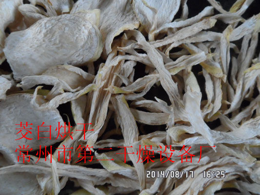 DWD 带式脱水蔬菜爱博体育app注册 DWD 带式脱水蔬菜爱博体育app注册