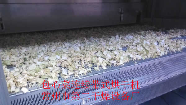 DWD 带式脱水蔬菜爱博体育app注册 DWD 带式脱水蔬菜爱博体育app注册
