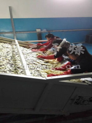 DWD 带式脱水蔬菜爱博体育app注册 DWD 带式脱水蔬菜爱博体育app注册