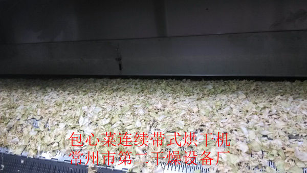 DWD 带式脱水蔬菜爱博体育app注册 DWD 带式脱水蔬菜爱博体育app注册